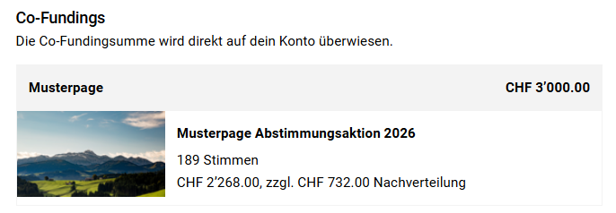 projekt-if_crowd_unterstuetzungen_cofundings-box.png